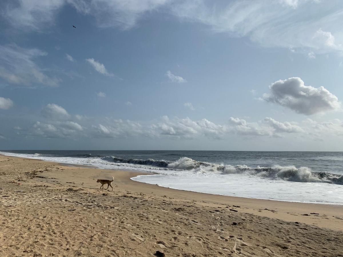Peacock Villa Marari Beach Mararikulam Kültér fotó